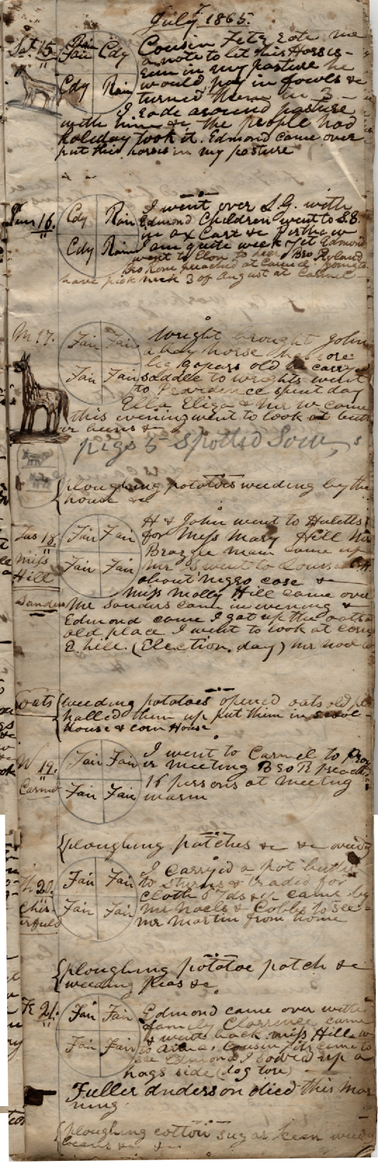 page7